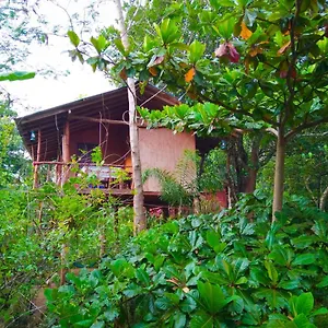 https://akash-treehouse.kandyhotelsnow.com
